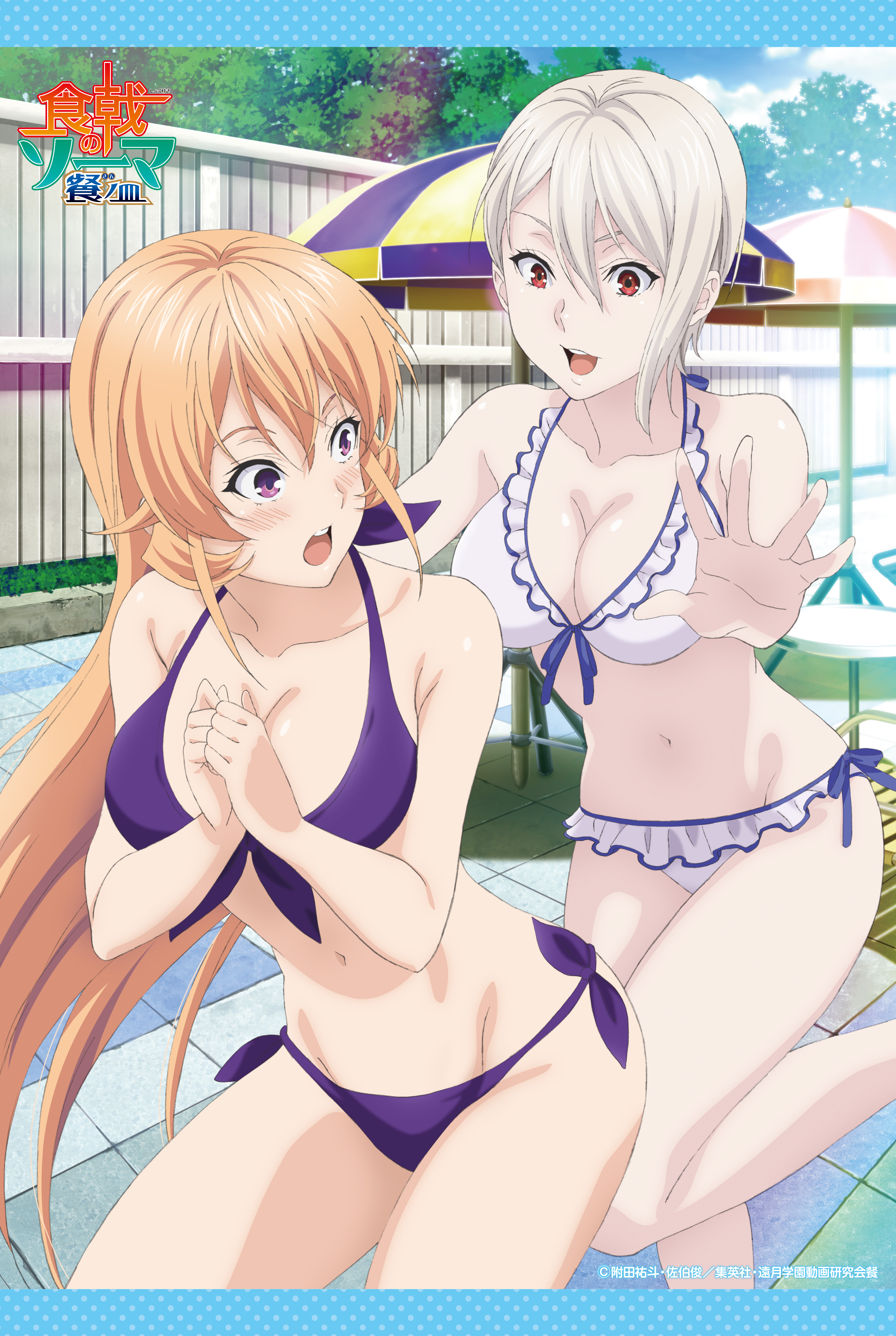 TVアニメ「食戟のソーマ 餐ノ皿」B2タペストリー|メディコス TVアニメ「食戟のソーマ 餐ノ皿」B2タペストリー|メディコス
